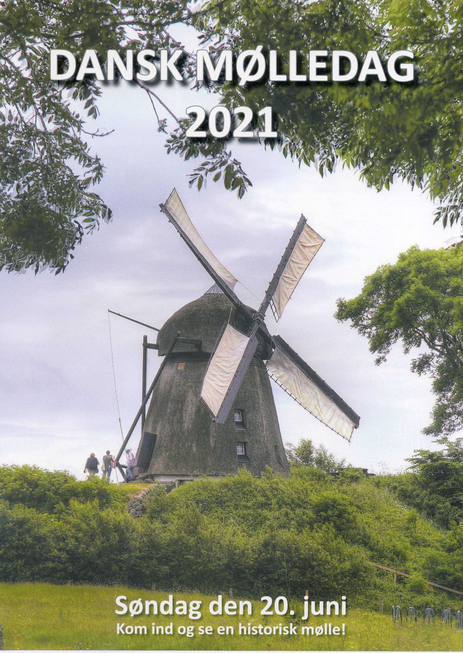 molle dansk-mølledag-2021