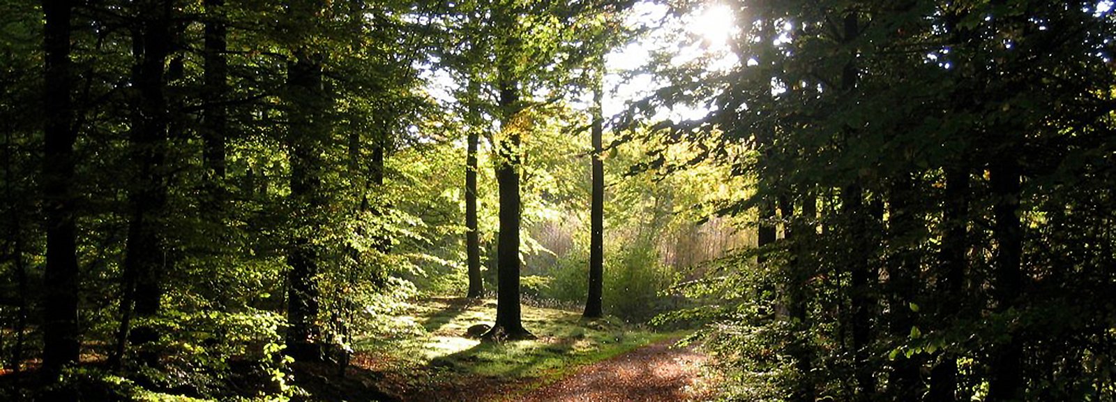 omrade skovvej_boegeskov