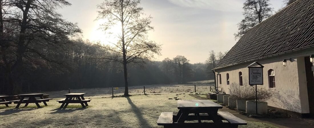 Nyt fra Samlingen