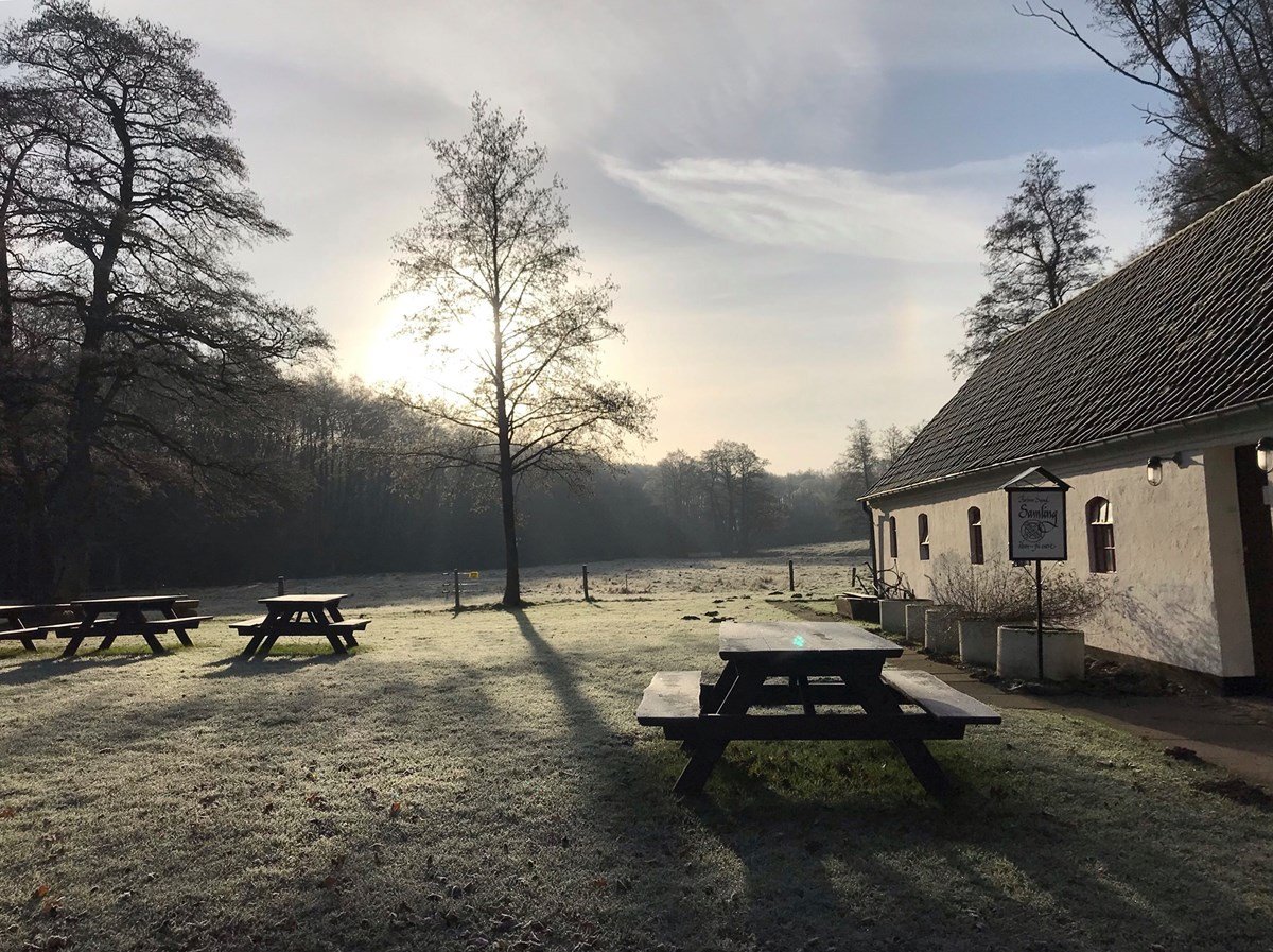 Nyt fra Samlingen